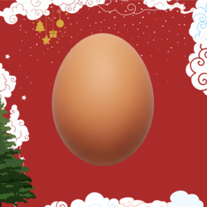 สำเนาของ SAVECOST POST ไข่ไก่ NO.1 10ฟอง