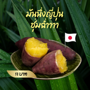 ทำสด! มันนึ่งหวานญี่ปุ่น ประมาณ 300 กรัม(2-3หัว)