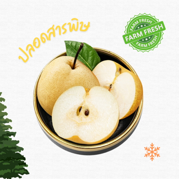 สาลี่น้ำผึ้ง ปลอดสารพิษผิวอาจขรุขระ 200-250กรัม 1ลูก (ไม่ได้ปลอก)