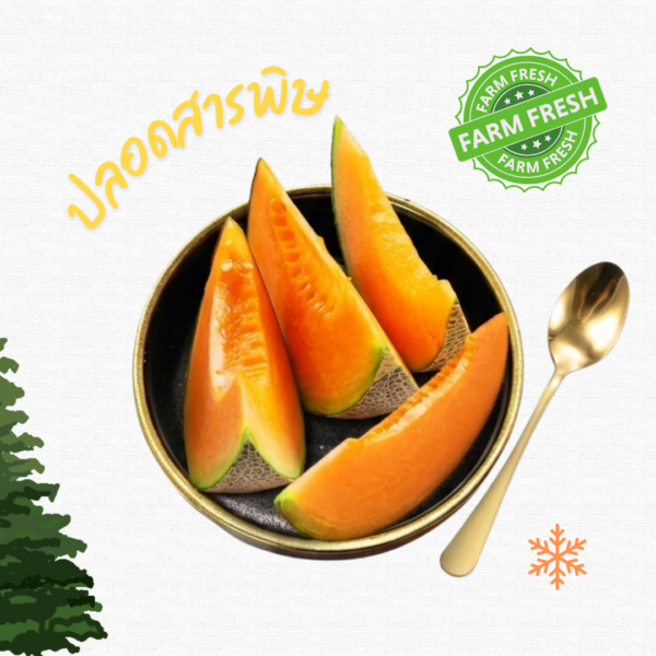 แคนตาลูป ปลอดสารพิษผิวอาจขรุขระ 1ลูก ประมาณ400g (ไม่ได้ปลอก)