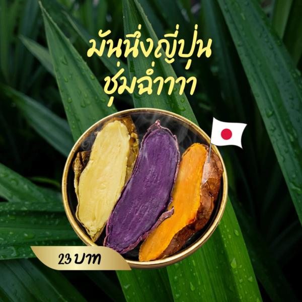 ทำสด! มันนึ่งหวานญี่ปุ่น 3สี หัวขนาดใหญ่ ประมาณ 400กรัม (อาจจะไม่ได้ 3สี ถ้าสีใดสีนึงหมด)