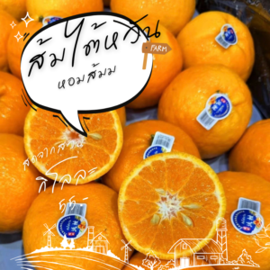 ส้มไต้หวัน เปรี้ยวนำหวานตาม เจ้าของร้านชอบ 0.5กก