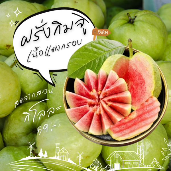 ฝรั่งกิมจูเนื้อแดง 0.5กก